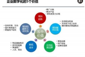小芒电商的数字化转型、小芒电子商务有限公司干什么的
