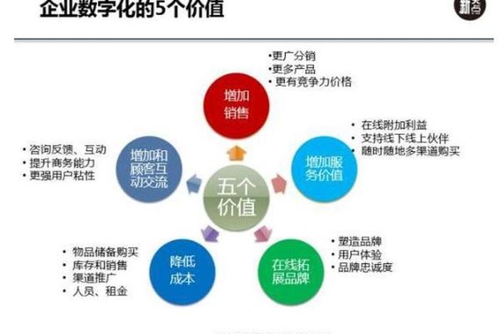 小芒电商的数字化转型、小芒电子商务有限公司干什么的 小芒电商的数字化转型、小芒电子商务有限公司干什么的