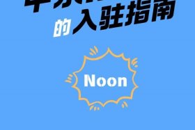 中东noon官网入驻流程 - 中东noon和squa哪个平台更好
