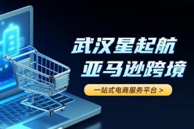 亚马逊出口电商平台、亚马逊出口电商平台是什么