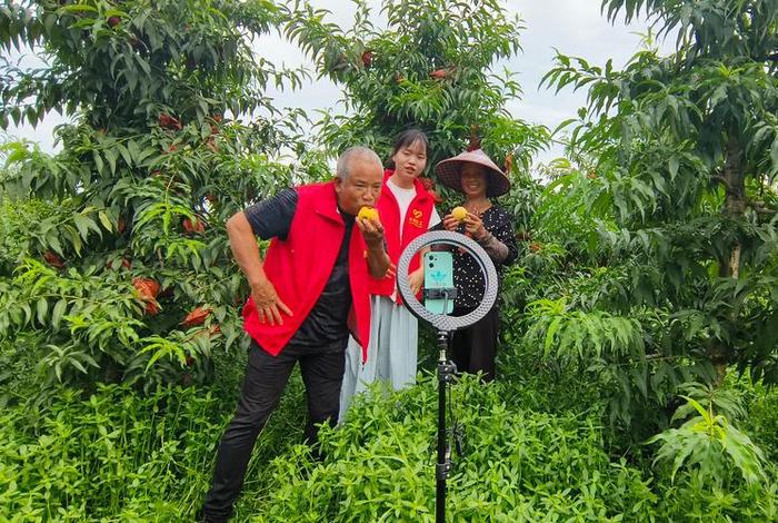 电商播种是什么岗位，电商播种是什么岗位工作