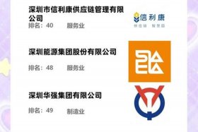 深圳跨境电商公司排名前100名单（深圳跨境电商公司排名前100名单公布）