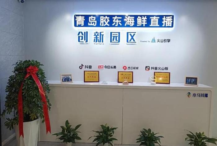 青岛电商直播基地 青岛电商直播基地在哪 青岛电商直播基地 青岛电商直播基地在哪
