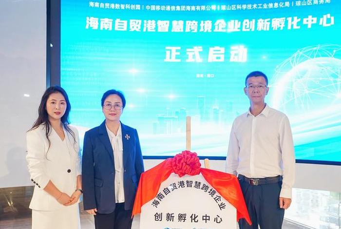 海南电商运营（海南电商品牌运营中心）