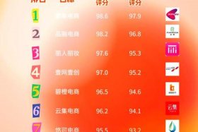 电商平台代运营公司（电商平台代运营公司排名）