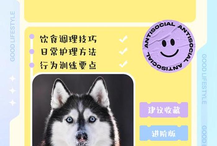 哈士奇插件怎么安装(哈士奇插件怎么安装到手机ios) 哈士奇插件怎么安装(哈士奇插件怎么安装到手机ios)