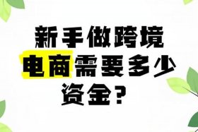 跨境电商新人能赚钱吗（跨境电商新人能赚钱吗知乎）