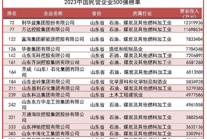 山东电商公司十大排名 山东电商公司十大排名榜 山东电商公司十大排名 山东电商公司十大排名榜