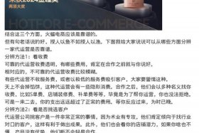 火蝠电商的现状；火蝠电商的现状怎么样