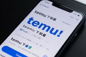temu跨境电商官网下载 - netsuite 跨境电商