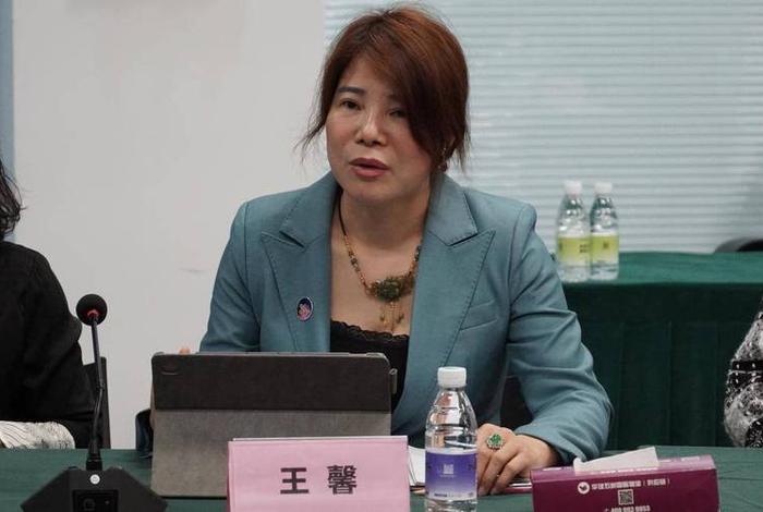 深圳跨境电商协会会长王馨 - 深圳跨境电商协会会长王馨简介