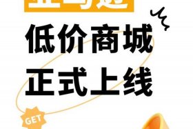 亚马逊电商平台官网、亚马逊电商平台官网入口