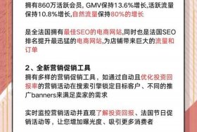 法国电商平台排行榜前十名 法国电商平台排行榜前十名公司