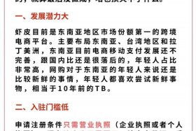 虾皮跨境电商是什么app；虾皮跨境电商是什么意思