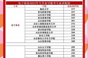 关于电商的专业有哪些？、关于电商的专业有哪些学校