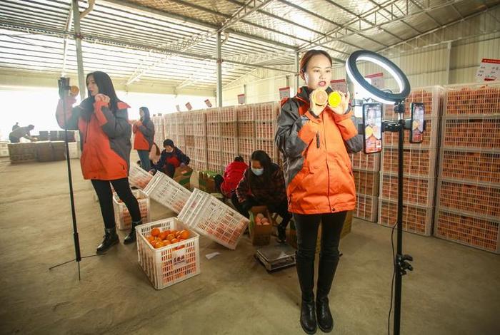 电商农产品直播间、电商农产品直播间怎么做