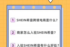 shein跨境平台介绍；shein跨境电商平台介绍