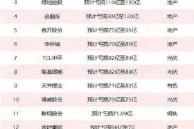 小芒电商2024亏损年报；小芒电商2024亏损年报怎么看