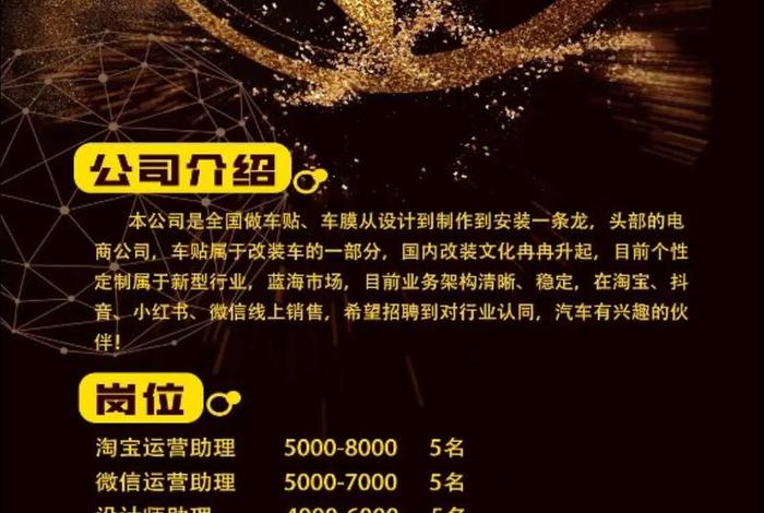 电商策略运营总监招聘 - 电商运营总监 招聘