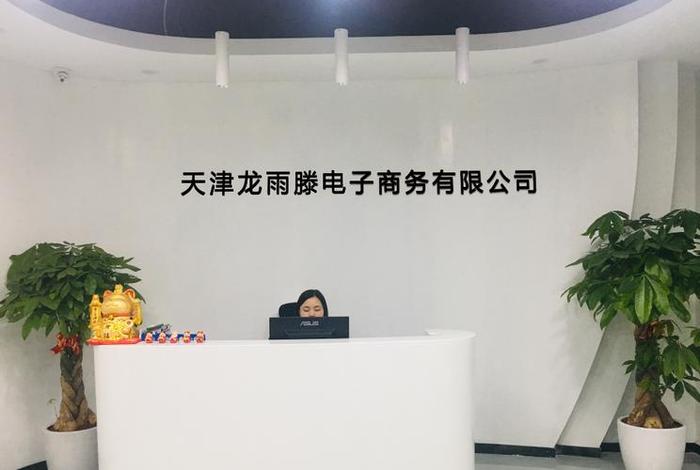 龙商电子商务商行;龙商网络技术服务有限公司 龙商电子商务商行;龙商网络技术服务有限公司