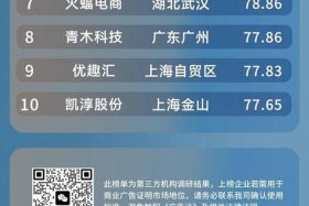 中国电商销售排名、中国电商销售排名第一