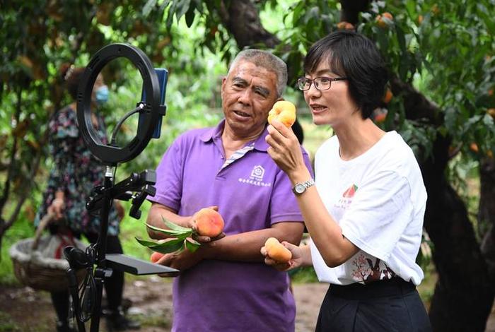 农村电商怎么赚钱 - 农村电商怎么赚钱快 农村电商怎么赚钱 - 农村电商怎么赚钱快