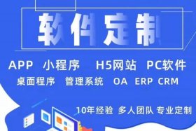 app电商定制开发（电商平台app定制开发）