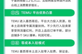 temu电商平台的未来展望、对未来电商平台发展的展望