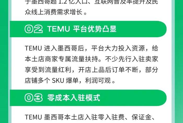 temu电商平台的未来展望、对未来电商平台发展的展望