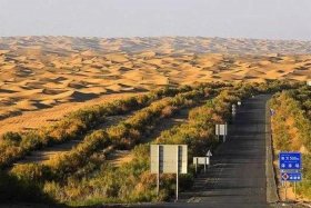 沙漠电商、沙漠商城