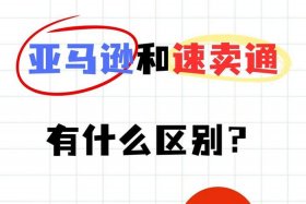 电商 是什么意思；亚马逊跨境电商是什么意思