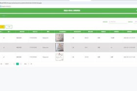 李李电商服务 李李跨境电商表格