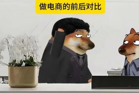 来看看做电商是什么样子，做电商的都是些什么人