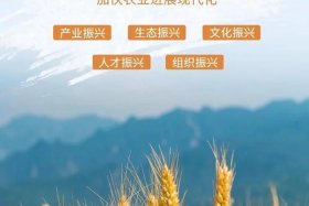 农村电商发展助力乡村振兴；发展农村电商促进乡村振兴