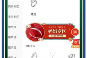 微电商平台开发 - 什么是微电商平台