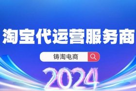 传统电商代运营（电商代运营是如何运营）