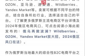 俄罗斯ozon电商平台卖什么好、俄罗斯电商平台ozon中文