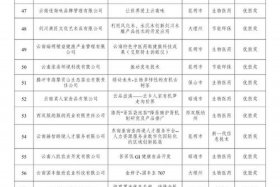 云南电商企业；云南电商企业排名500强名单