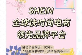 shein跨境电商app下载（shein跨境电商平台下载）