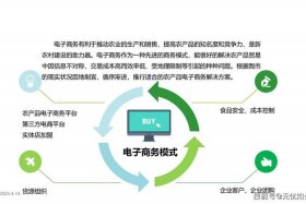 县域电商模式有哪几种，县域电商的基本模式有哪些