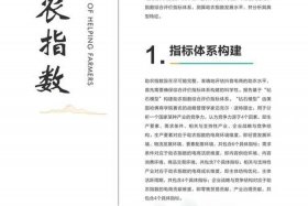 农业电商新政策 - 农业电商新政策解读