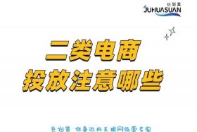 二类电商是什么意思例如哪些平台，二类电商是指哪些？