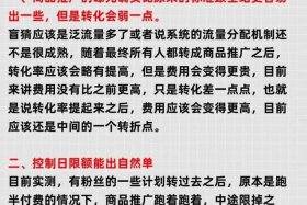 电商平台推广怎么做 - 电商平台推广怎么做的