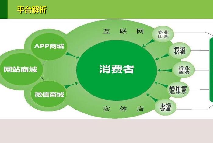生鲜电商项目计划书 - 生鲜电商项目计划书ppt