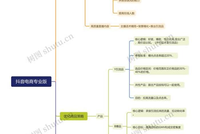 电商规划思维导图(电商规划思维导图模板) 电商规划思维导图(电商规划思维导图模板)