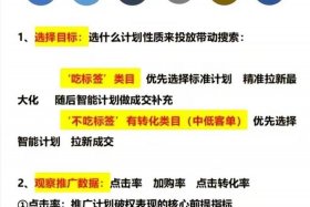 电商平台运营及推广 电商平台运营及推广方案