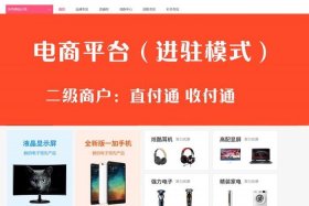 什么是电商平台有哪些（什么是电商购物平台有哪些）