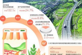 电商巨头为什么纷纷布局农村电商，电商巨头为什么纷纷布局农村电商发展