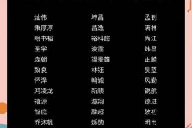 电商运营公司名字（电商运营公司名字大全）