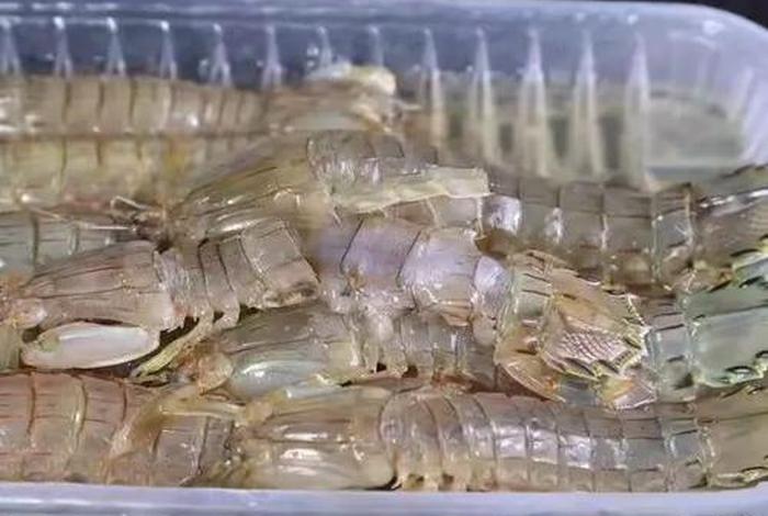 海螺电商平台登录入口（海螺电商平台登录入口官网）